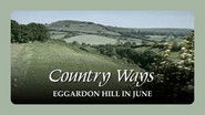 Eggardon Hill in June