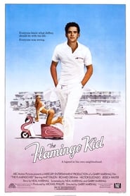The Flamingo Kid постер