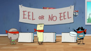 Eel or No Eel