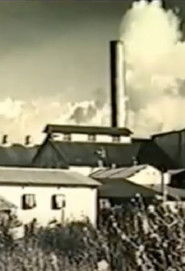 Kahuku: Survival of a Plantation Town (1988)