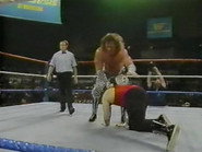 December 3, 1988 - Superstars of Wrestling 118