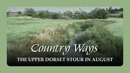 The Upper Dorset Stour in August