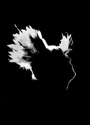 Poster M - Les saisons de passage 2010