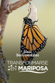 Transformarse en mariposa