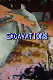Poster Excavations 1979