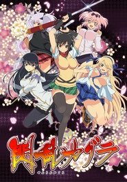 閃亂神樂 閃亂神樂