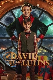 Film David et les lutins streaming