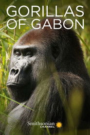 Gorillas of Gabon (2019)