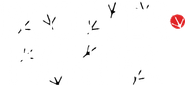 Rooster Fighter Logo