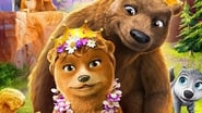 Alpha et Oméga 8 : Voyage au royaume des ours en streaming