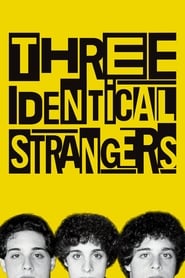 Poster Three Identical Strangers 2018