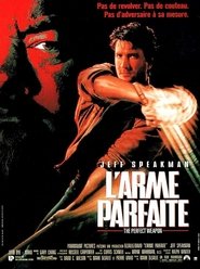 L'Arme parfaite streaming