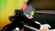The Cat Concerto