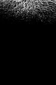 For When I Think, There is This Heaviness That I Would Rather You Not Carry (2025)