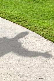 MongoDB.Entities.FuzzyString