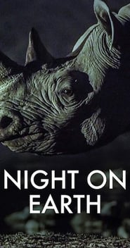 Night on Earth poster