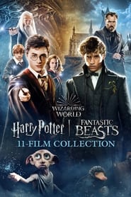 Fantastic Beasts Collection streaming