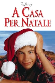 A casa per Natale (1998)