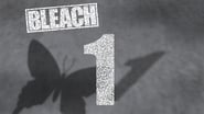 Bleach 1x1