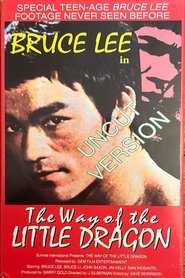 Poster The Way of the Little Dragon 1997