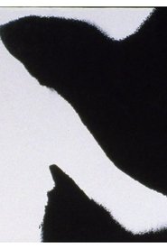 Poster Errata 2005