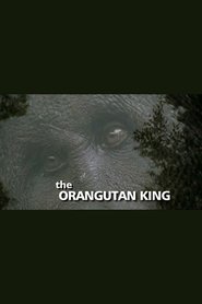 Poster The Orangutan King