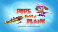 Pups Save a Plane