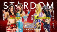 Stardom 12th Goddesses of Stardom Tag League in Sagae