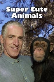 Super Cute Animals Super Cute Animals