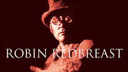 Robin Redbreast