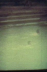 Poster In The River 1970