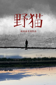 野猫