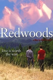 Redwoods постер
