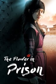 The Flower in Prison مشاهدة و تحميل مسلسل مترجم جميع المواسم بجودة عالية