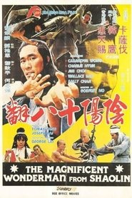 Poster Magnificent Wonderman 1980