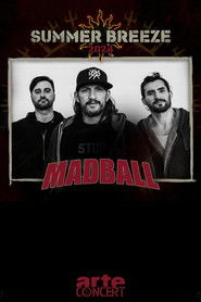Madball - Summer Breeze 2024 (2024)