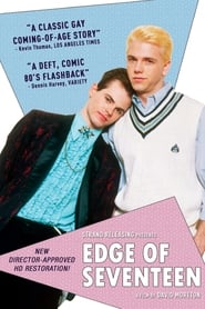 Edge of Seventeen постер