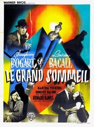 Le Grand Sommeil streaming vostfr complet Française film [4K] 1946