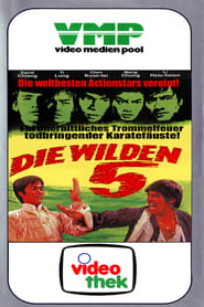 Poster Die wilden 5