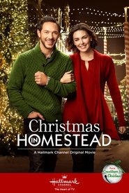 Christmas in Homestead (2016) 