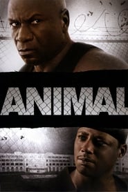 Poster Animal - Gewalt hat einen Namen