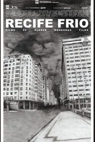 Recife Frio