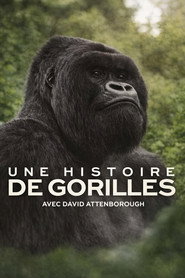 Où regarder Une histoire de gorilles avec David Attenborough (2026) en streaming VF complet