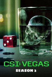CSI: Vegas Season 3 3