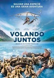 Volando juntos poster