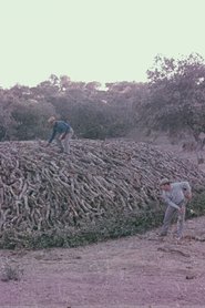 Encinares) Encinares (1973)