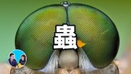 Episode 148