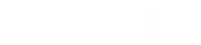 The Punisher Logo