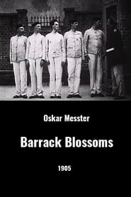 Poster Barrack Blossoms 1905