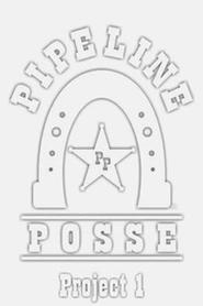 Pipeline Posse: Project 1 streaming